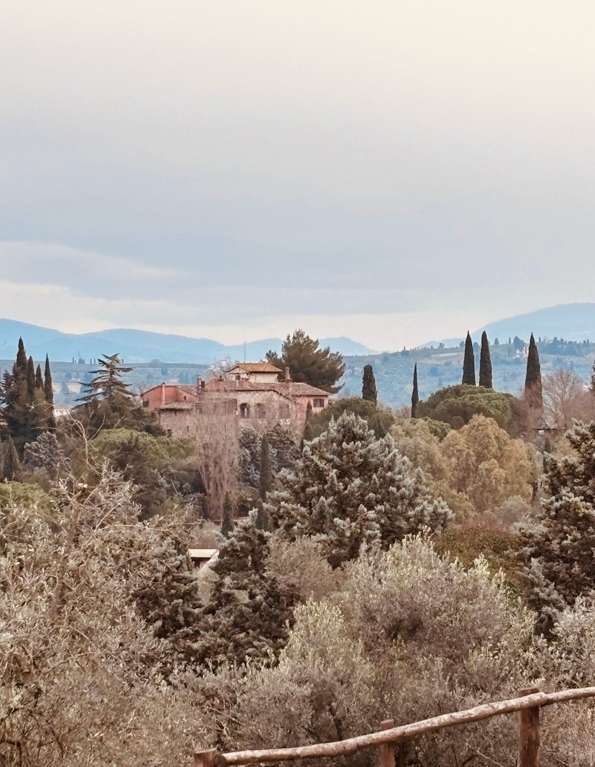 Tuscany countryside italy cypress trees nature italy view landscape